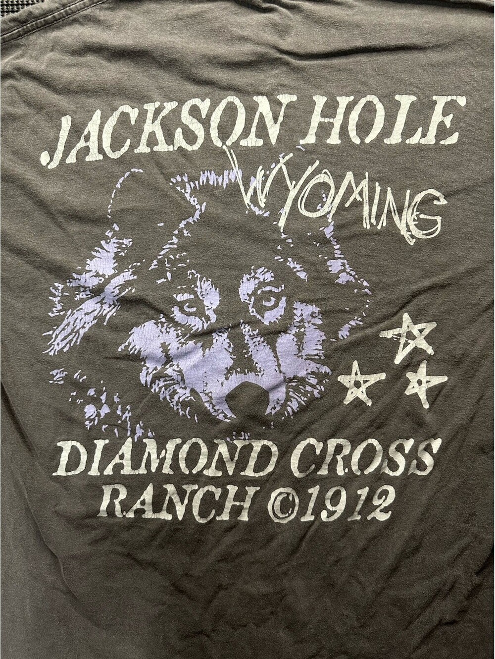 Diamond Cross Ranch 1912 Graphic T Shirt M Gray Purple Gothic Grunge Tee Faded